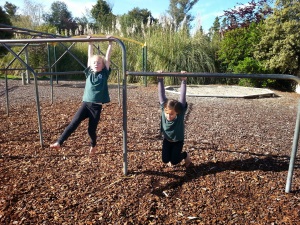 Lower Moutere School